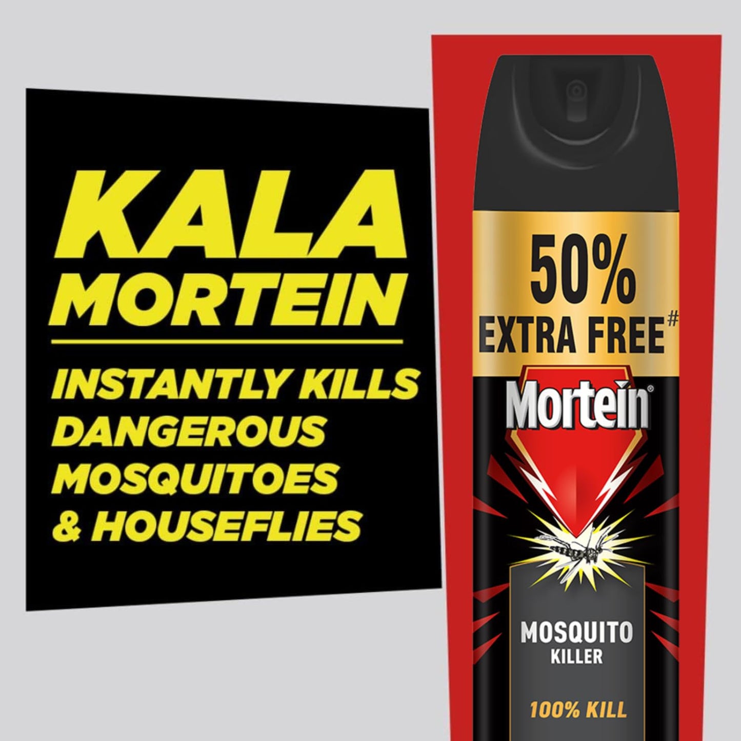 Mortein 625 ml - Flying Insect Killer - Fly & Mosquito Killer Spray| Instant Mosquito Killer | Fresh Natural Fragrance | 100% Kill Guarantee | Mosquito Repellent, Killer & Spray