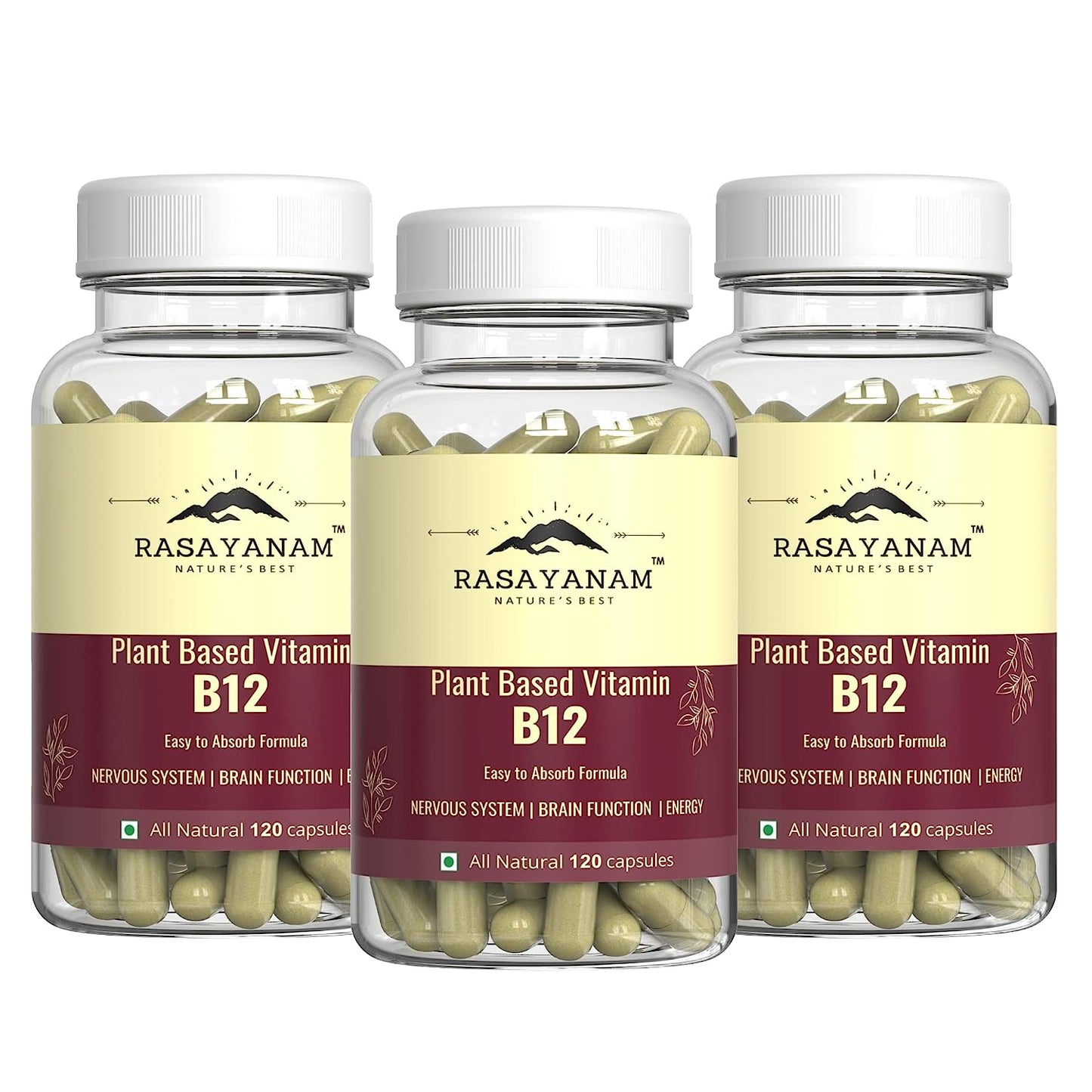 3x Rasayanam Plant Based Vitamin B12 (Cobalamin) - PACK OF 3 - 360 Veg Capsules