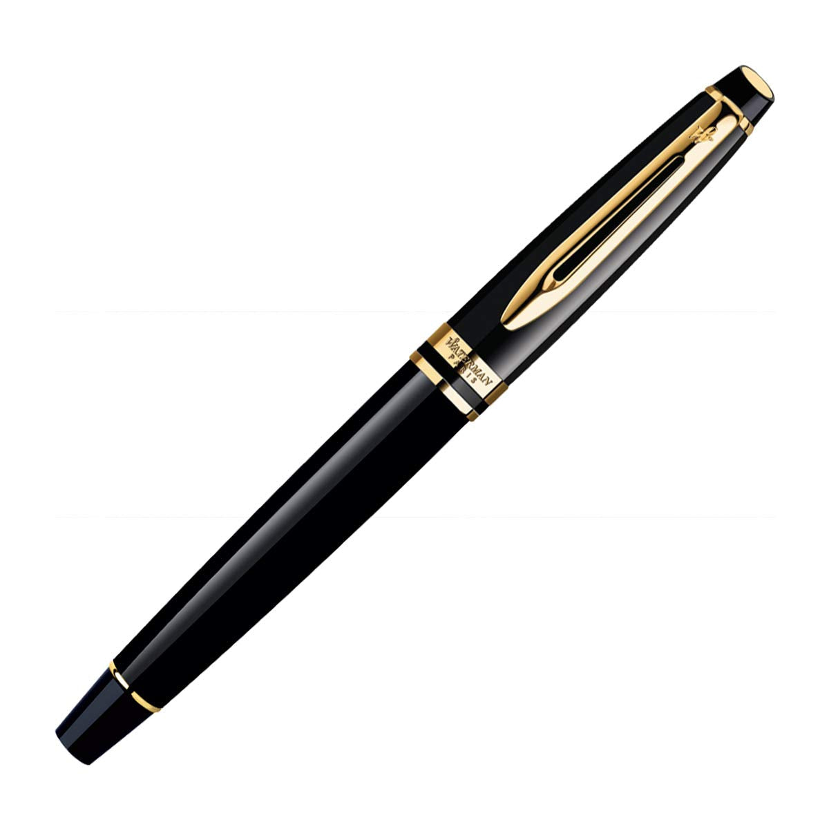 Waterman Expert Gold Trim Fountain Pen, Fine Nib (Black)
