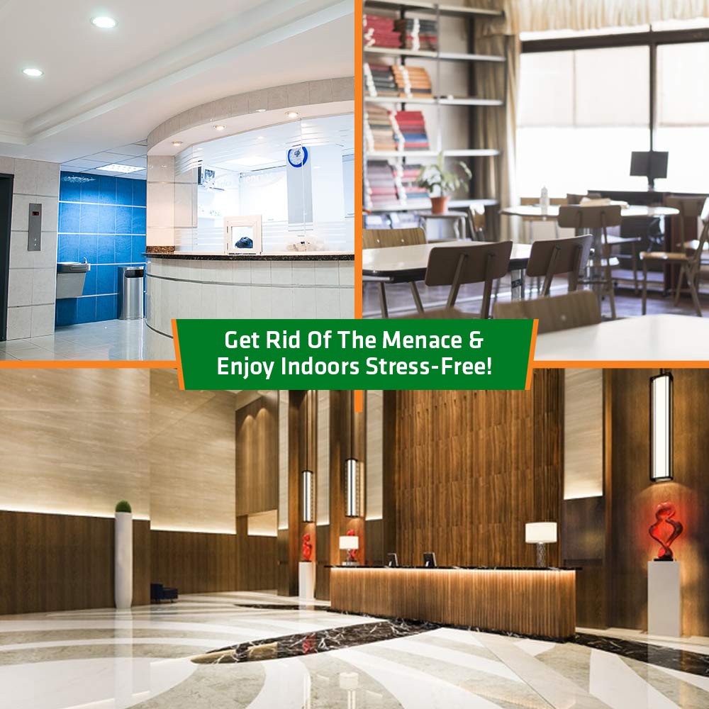 Herbal Strategi Mospray, Cold Fogging Solution, 1L